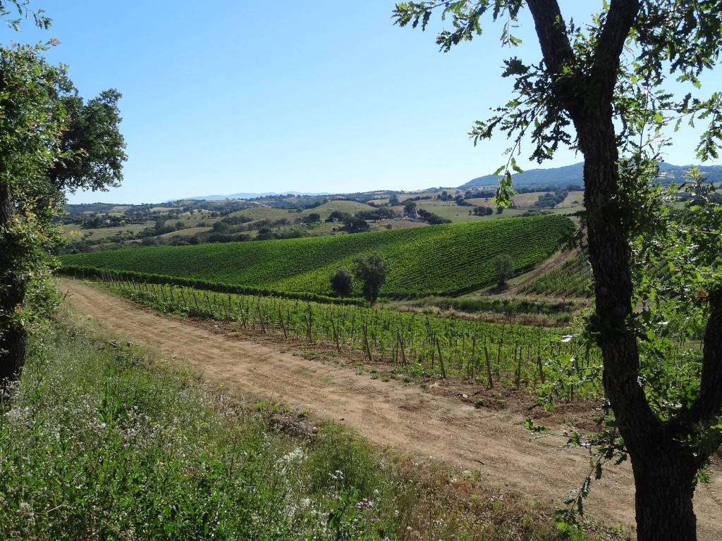 Palazzo / stabile a Siena - Foto 3