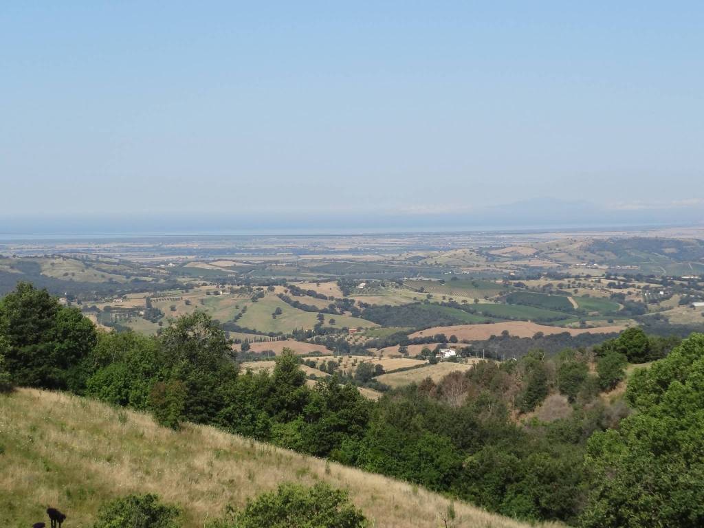 Palazzo / stabile a Siena - Foto 4