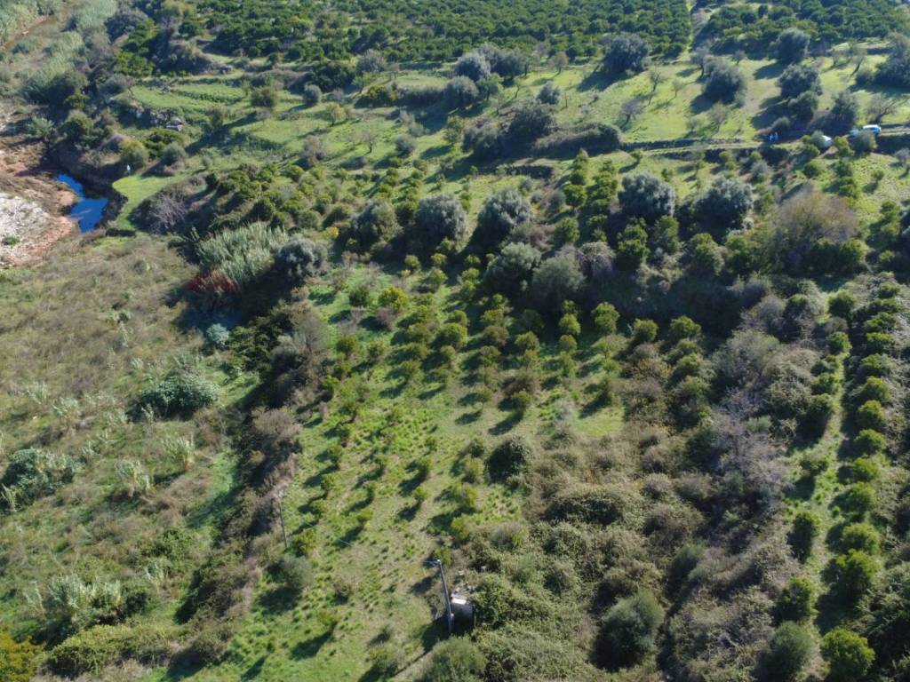 Terreno a Siracusa in CONTRADA SERRA DIDDINO (PULICA/REGINA) - Foto 4