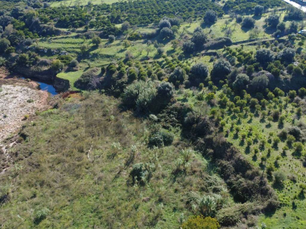 Terreno a Siracusa in CONTRADA SERRA DIDDINO (PULICA/REGINA) - Foto 5