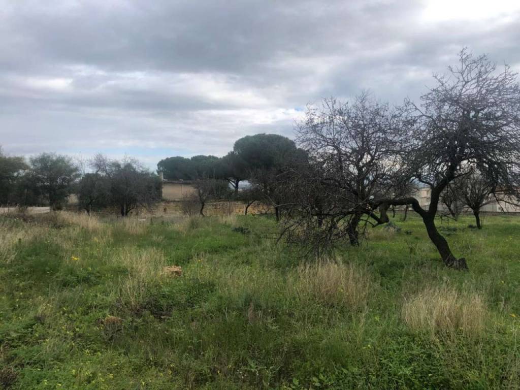 Terreno a Castelvetrano in via R. Livantino - Foto 3