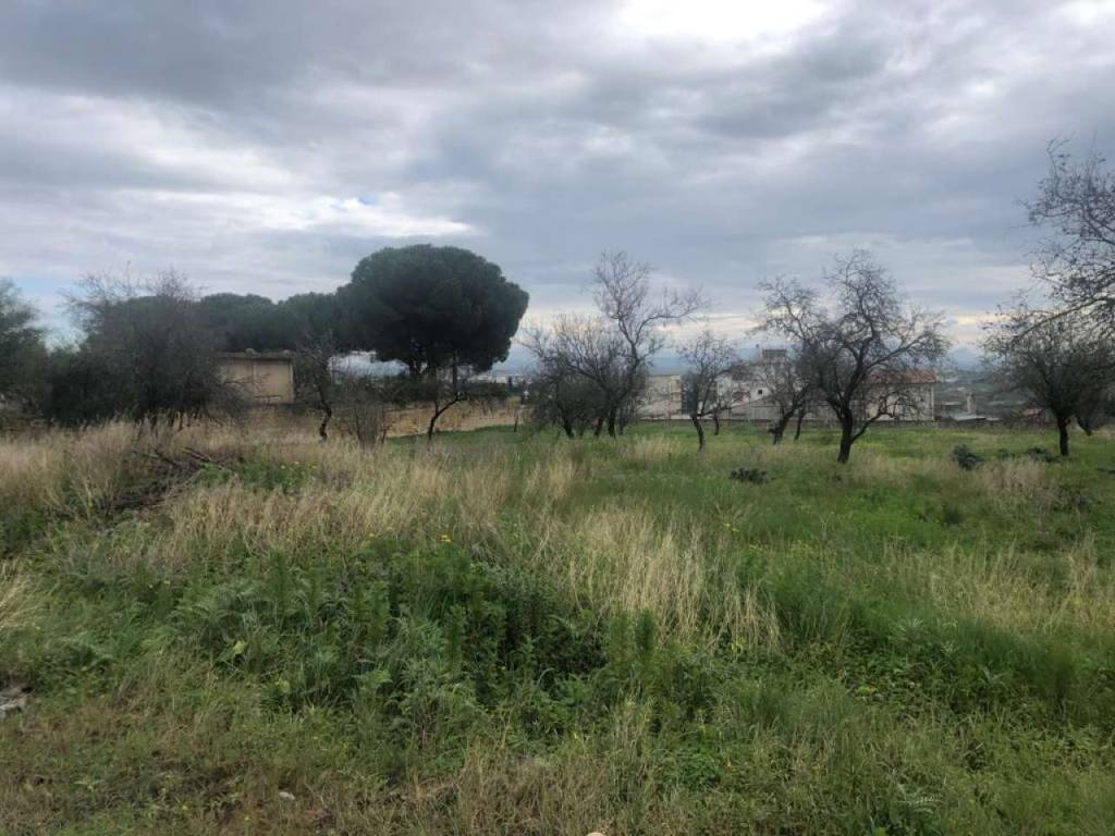 Terreno a Castelvetrano in via R. Livantino - Foto 4