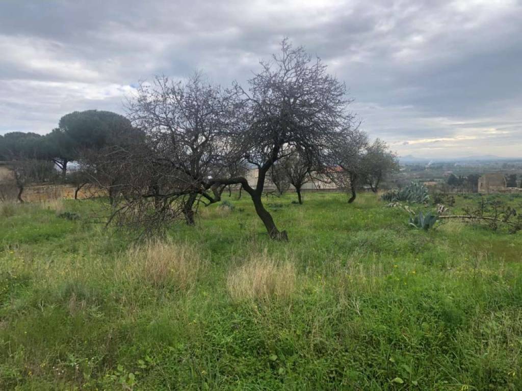 Terreno a Castelvetrano in via R. Livantino - Foto 5