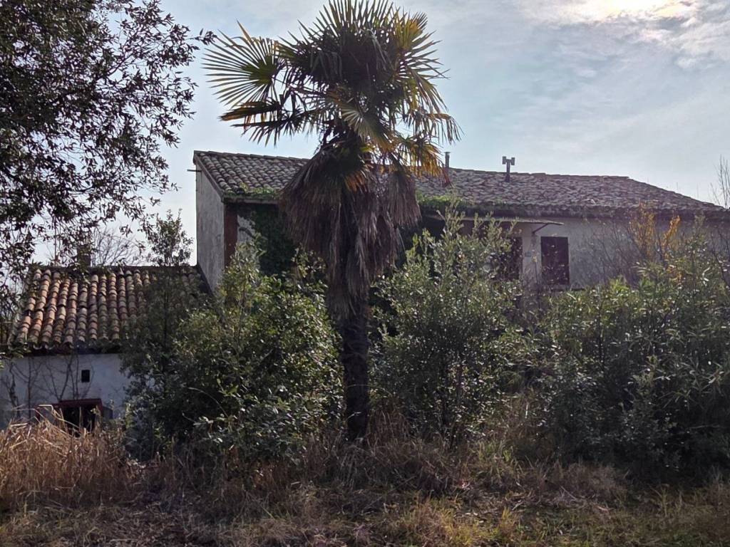 Rustico / casale a San costanzo - Foto 5