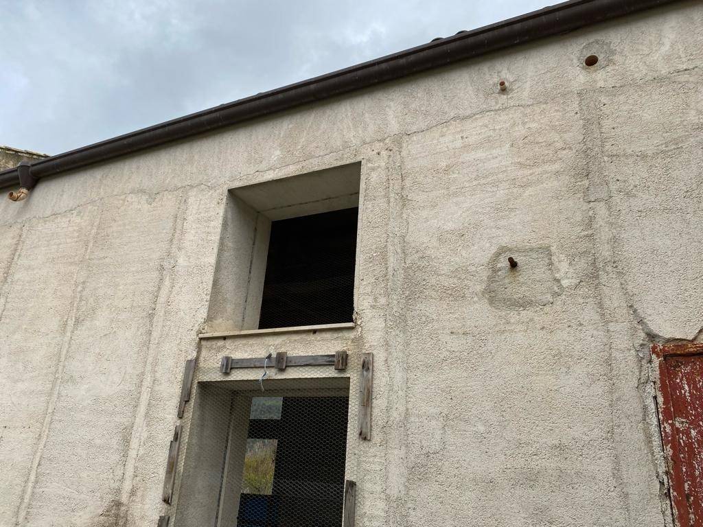 Palazzo / stabile a Monreale in Strada Provinciale di Portella della Ginestra - Foto 4