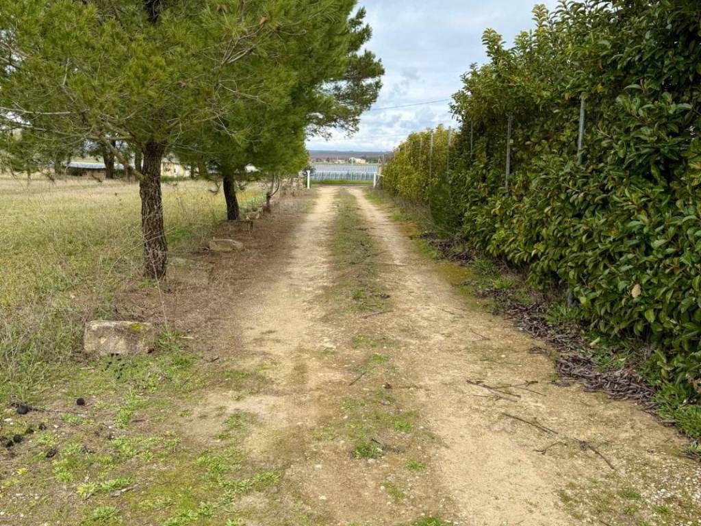 Villa a Mottola in Contrada Martine, 21 - Foto 5