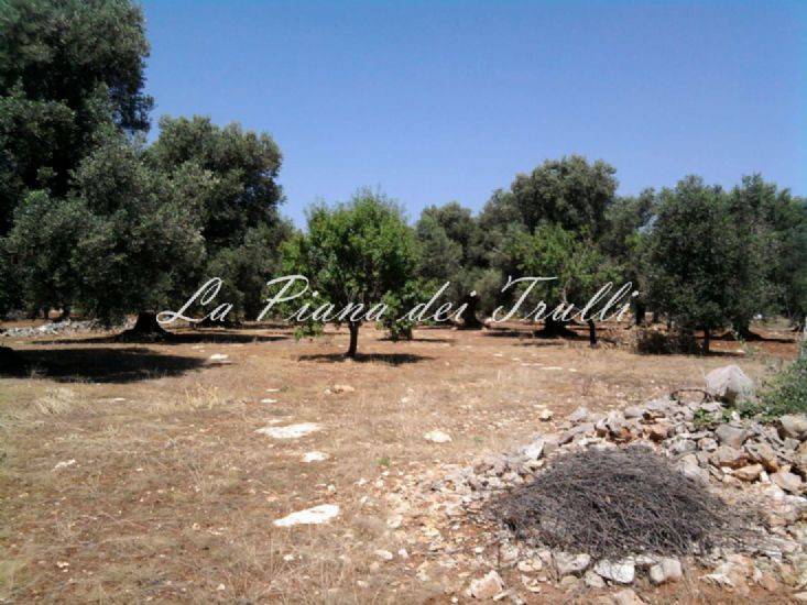 Rustico / casale a San vito dei normanni in Contrada Padalini - Foto 3