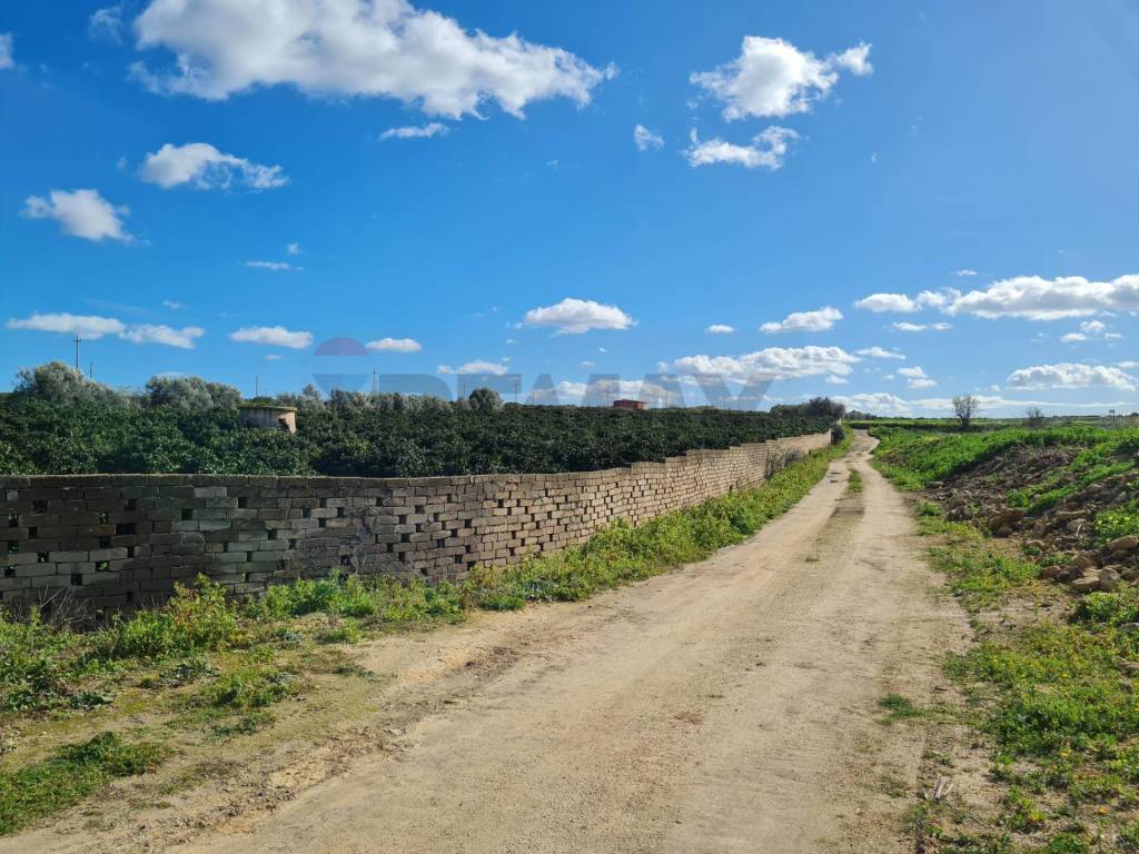 Terreno a Lentini in Contrada Santa Lenea (Strada Statale 385) - Foto 4