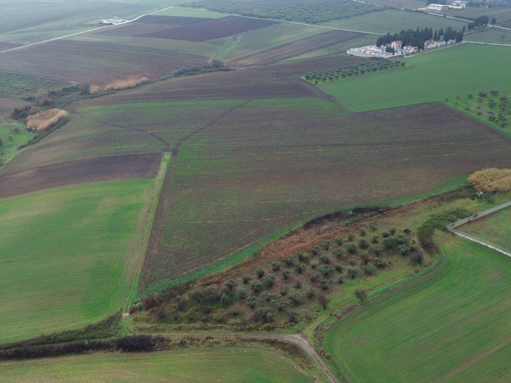 Terreno a Chieuti in SP41bis - Foto 3