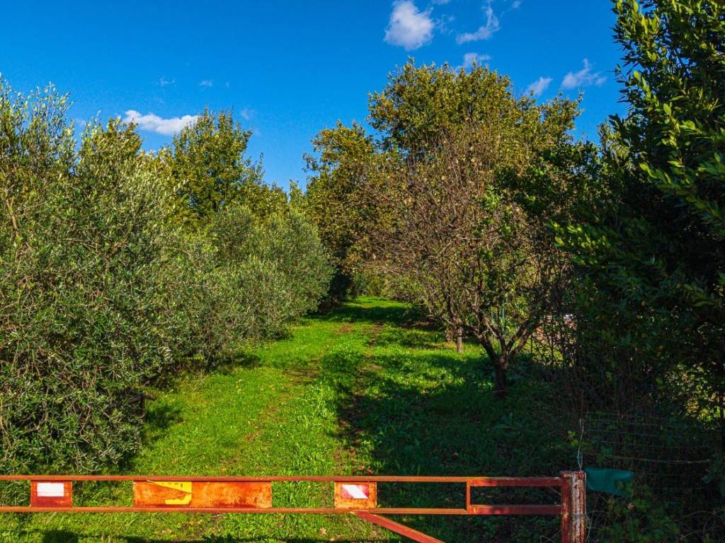 Terreno a Agliana in Via Carbolinga - Foto 3