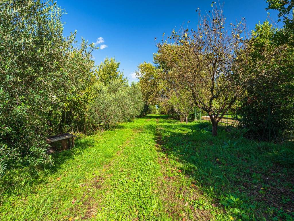 Terreno a Agliana in Via Carbolinga - Foto 5