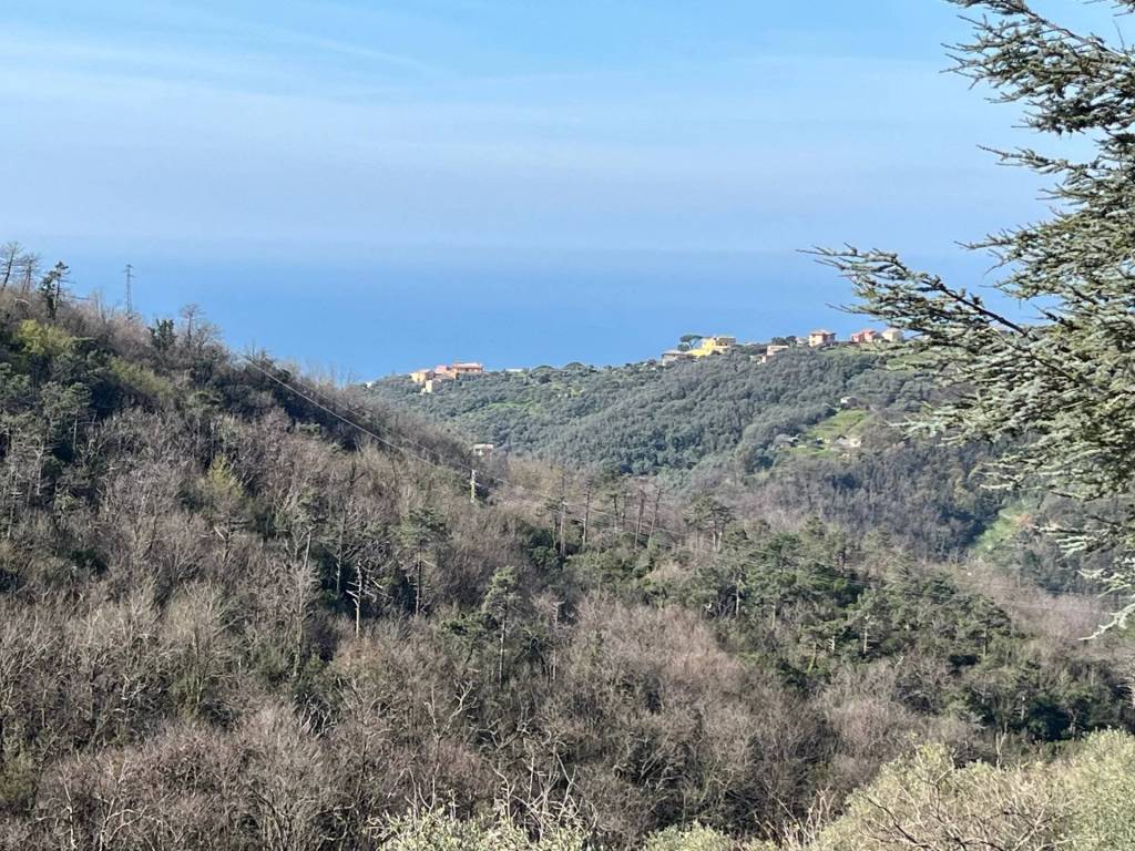 Casa indipendente a Lavagna in Sorlana - Foto 3