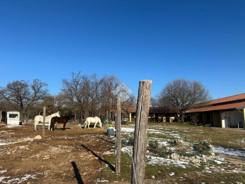 Villa a Sgonico in Località Gabrovizza, 117 - Foto 2