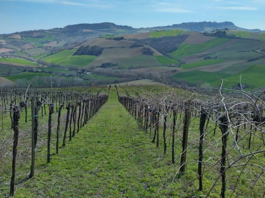 Terreno a Montefiore dell'aso - Foto 3