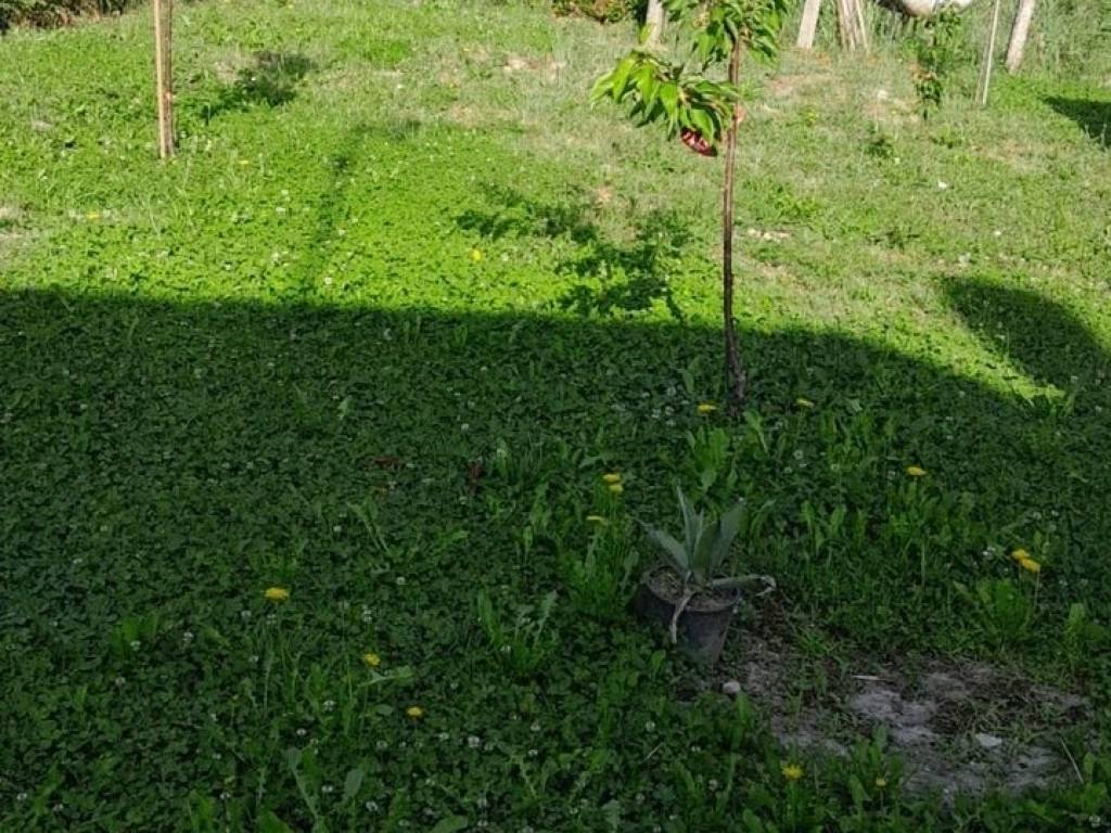 Villa a Frassinelle polesine - Foto 2