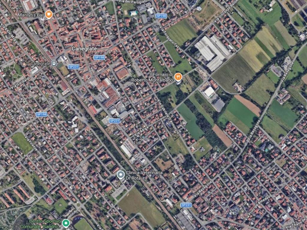 immagine di copertina