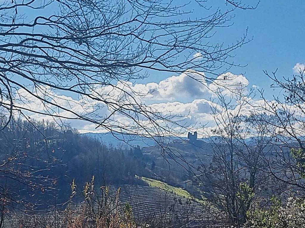Rustico / casale a Nizza monferrato in Strada Sernella, 22 - Foto 2