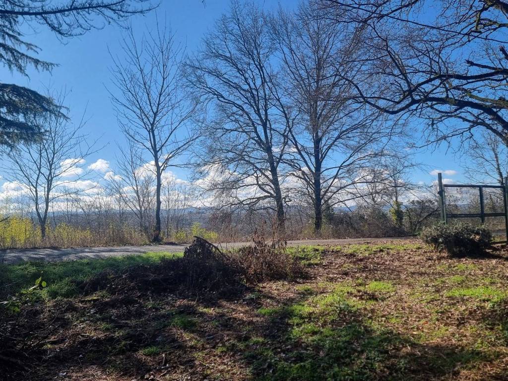 Rustico / casale a Nizza monferrato in Strada Sernella, 22 - Foto 3
