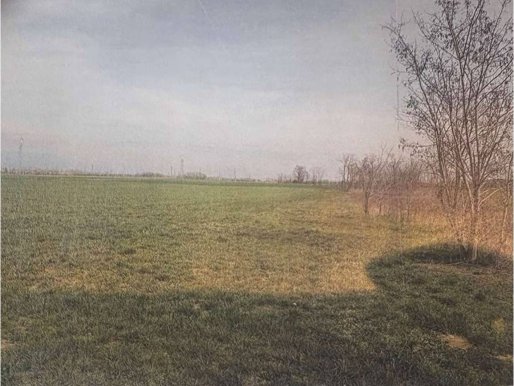 Terreno a Trezzano rosa in LEONARDO DA VINCI - Foto 2