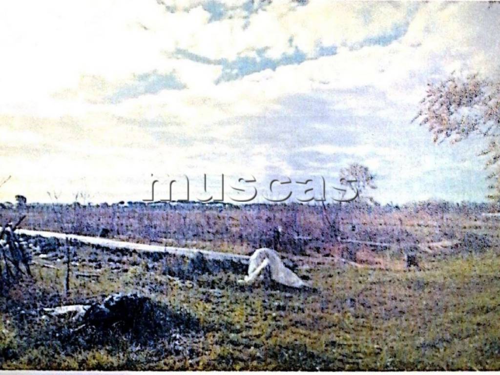 Terreno a Fiumicino in Viale Castellammare - Foto 2