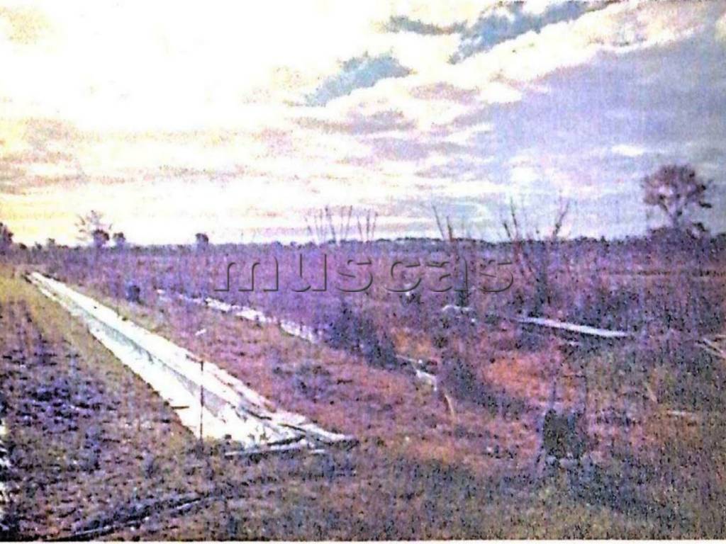 Terreno a Fiumicino in Viale Castellammare - Foto 3