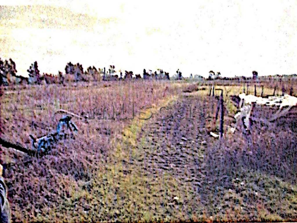 Terreno a Fiumicino in Viale Castellammare - Foto 5