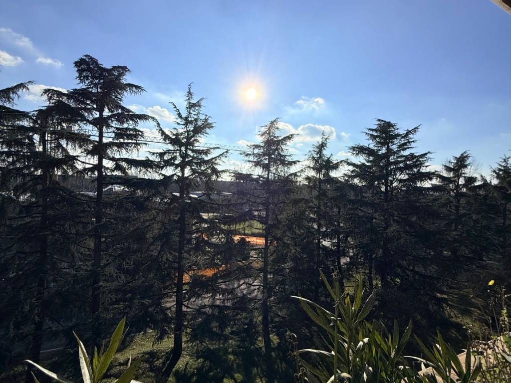 Appartamento a Basiglio in Residenza Alberata - Foto 4