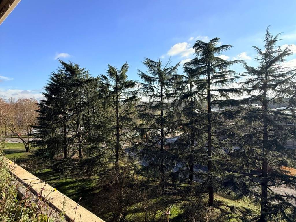 Appartamento a Basiglio in Residenza Alberata - Foto 5