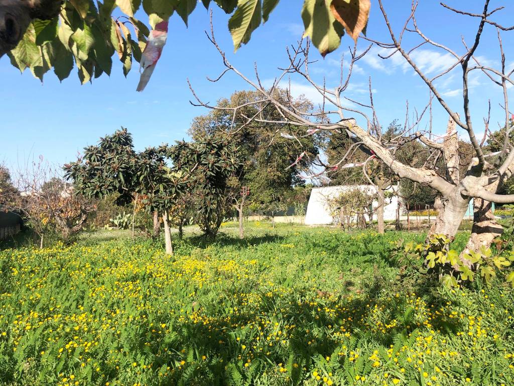 Villa a Polignano a mare in Strada Comunale Lamacerasa - Foto 5