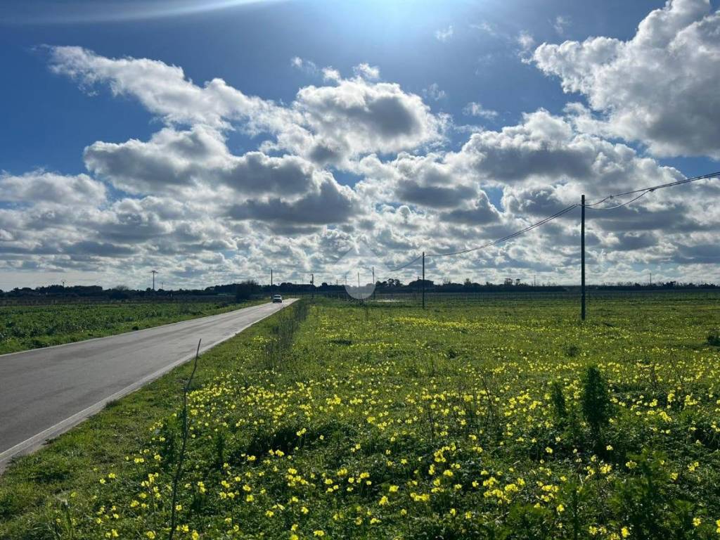 Terreno a Brindisi in Via per Sbitri, 14 - Foto 5