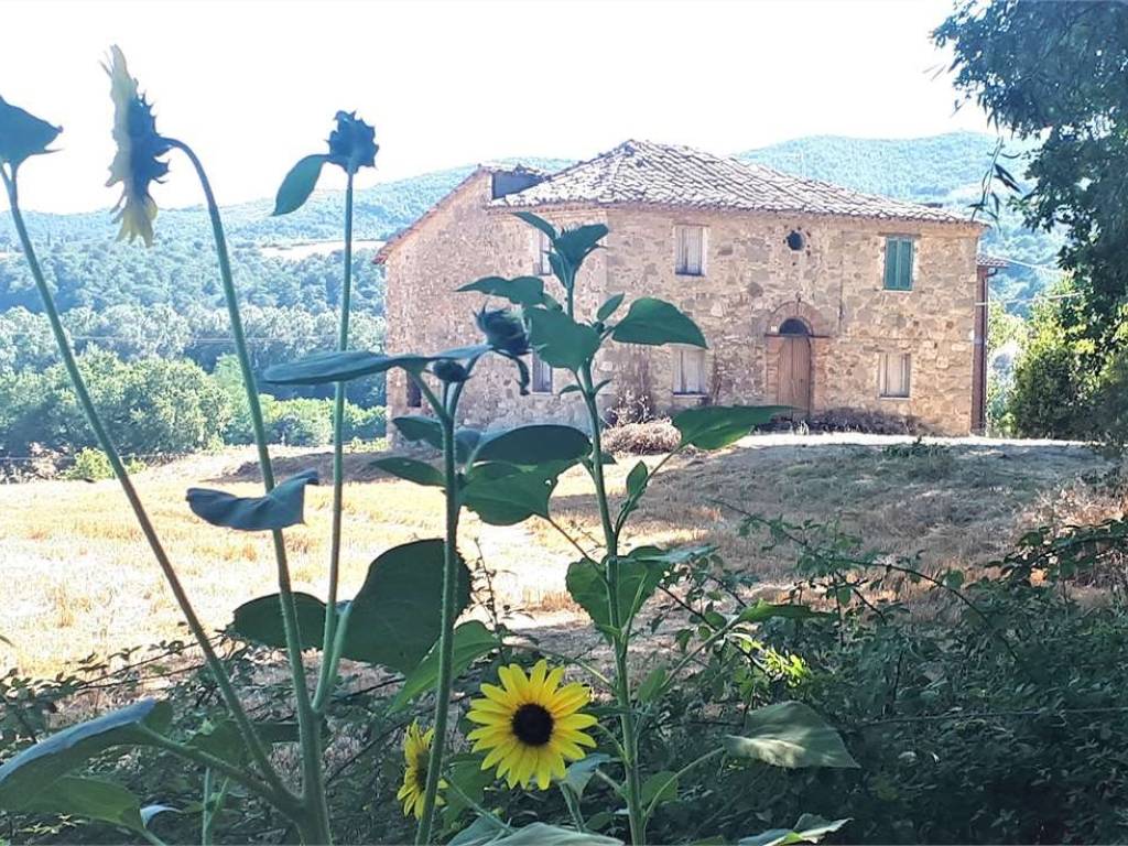 Rustico / casale a Todi in Montemolino - Foto 2