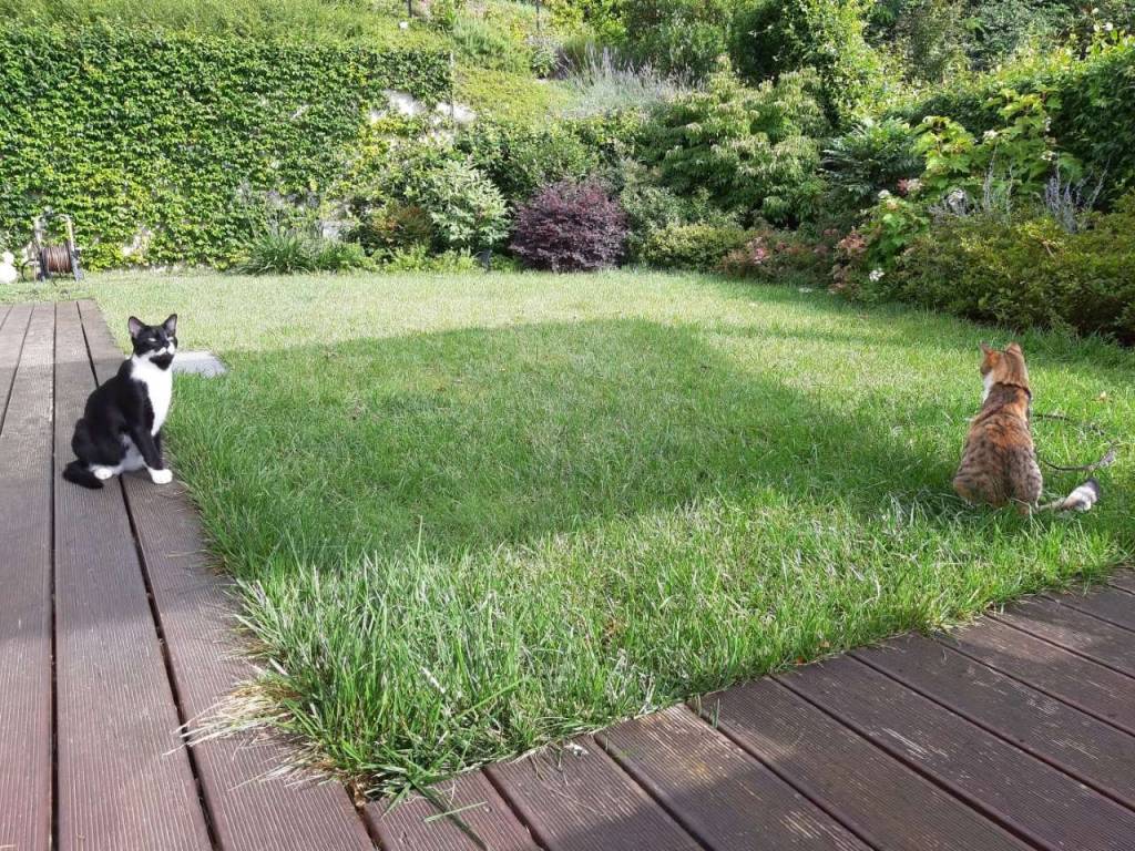 Villa a Castiglione torinese in strada Cordova 34/5 - Foto 4