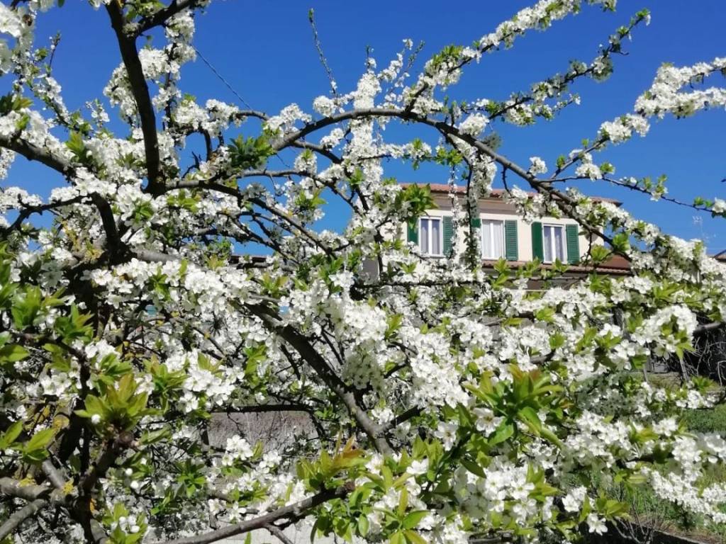 Villa a Pavia in Via Pollaioli, 79 - Foto 3