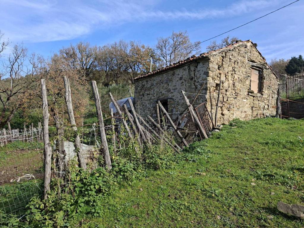 Rustico / casale a Laureana cilento in Contrada di Laureana Cilento - Foto 3