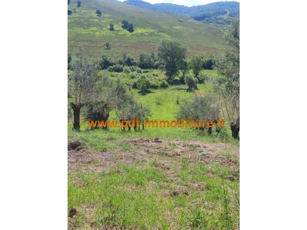 Terreno a Monterotondo - Foto 2