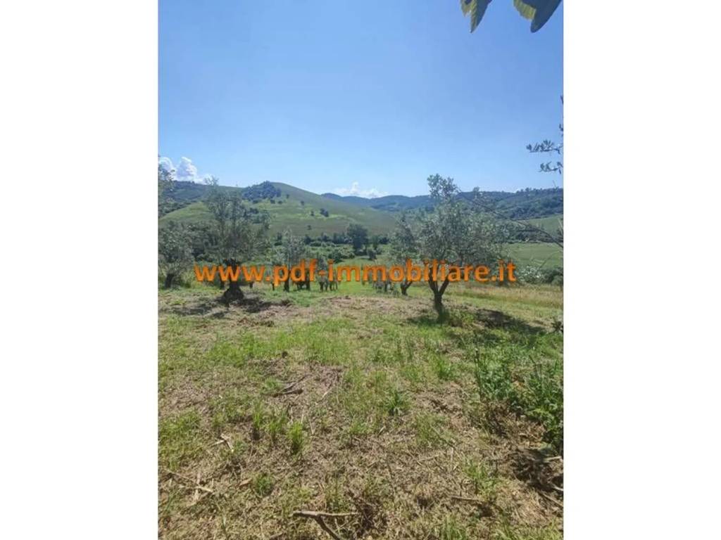 Terreno a Monterotondo - Foto 3