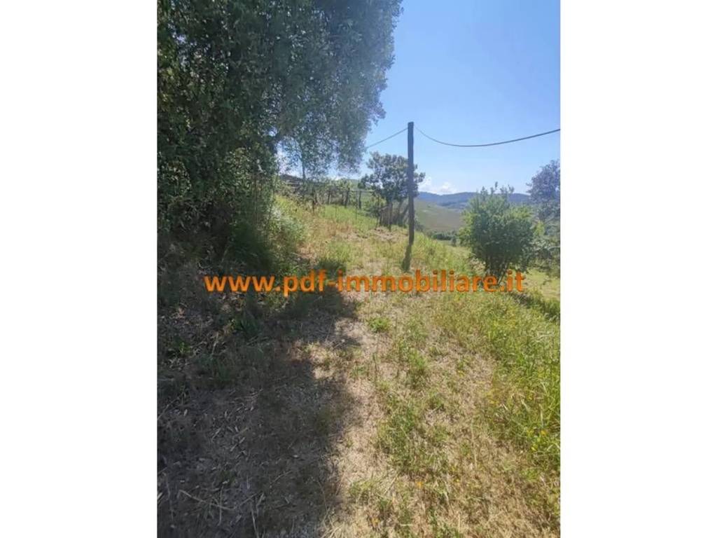 Terreno a Monterotondo - Foto 4