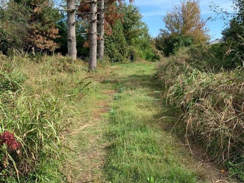 Terreno a Mortara - Foto 2