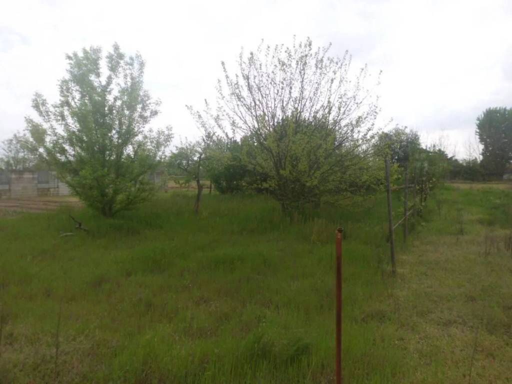 Rustico / casale a Mortara - Foto 2