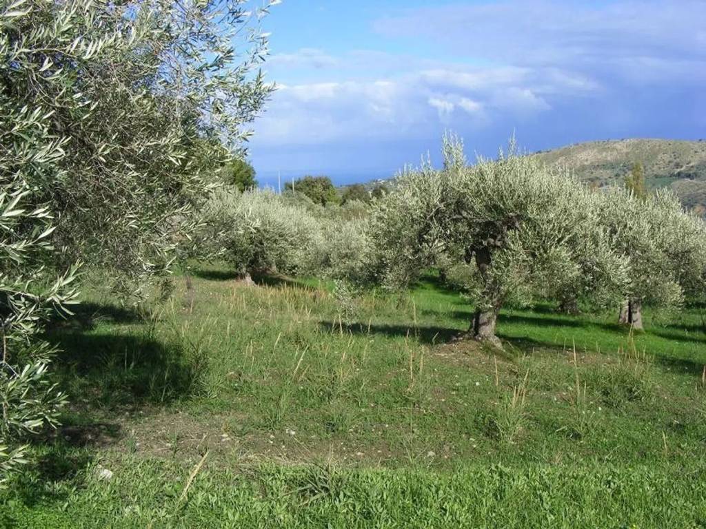 Terreno a Collesano in Strada Provinciale 129 - Foto 3