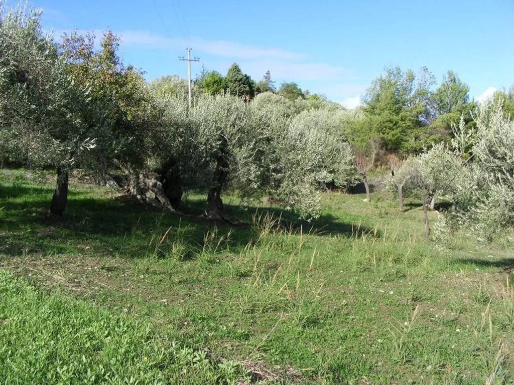 Terreno a Collesano in Strada Provinciale 129 - Foto 4