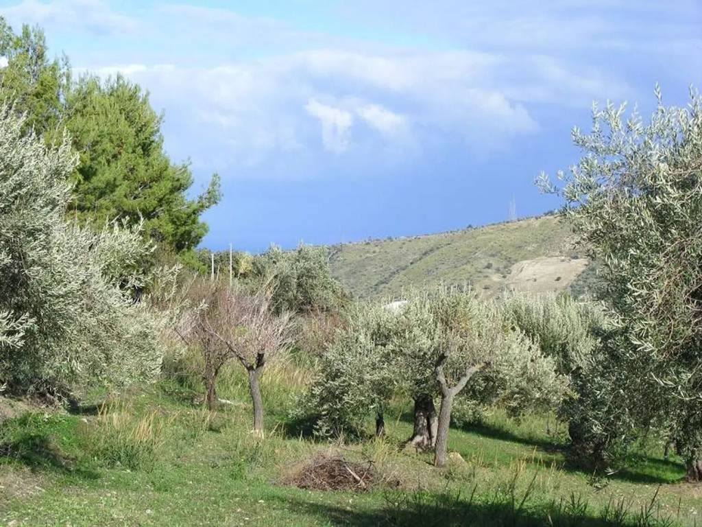 Terreno a Collesano in Strada Provinciale 129 - Foto 5