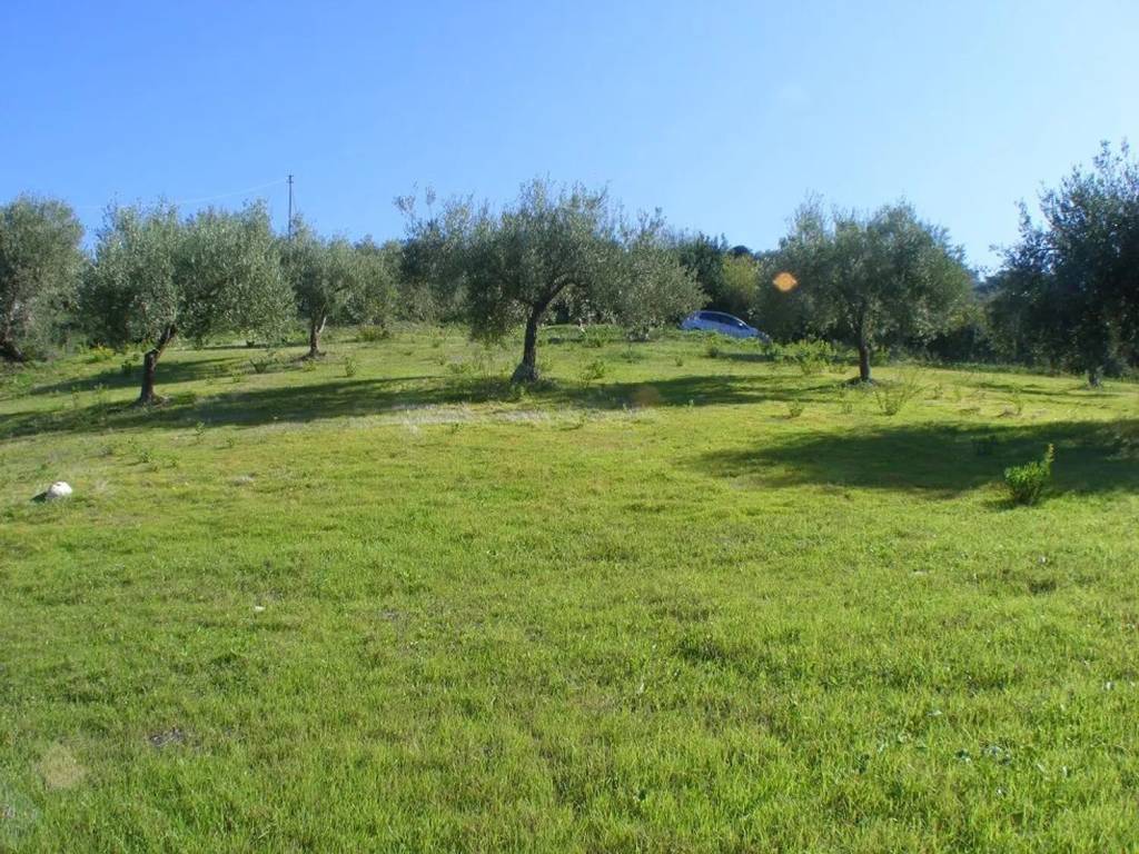 Terreno a Collesano in C/Da Basalaci No Number - Foto 2