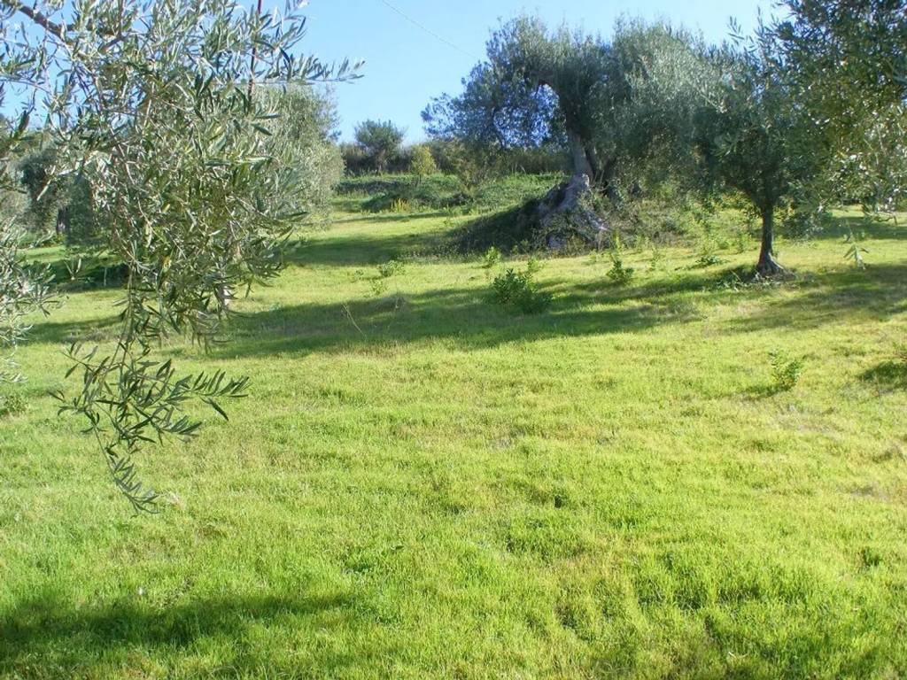 Terreno a Collesano in C/Da Basalaci No Number - Foto 3