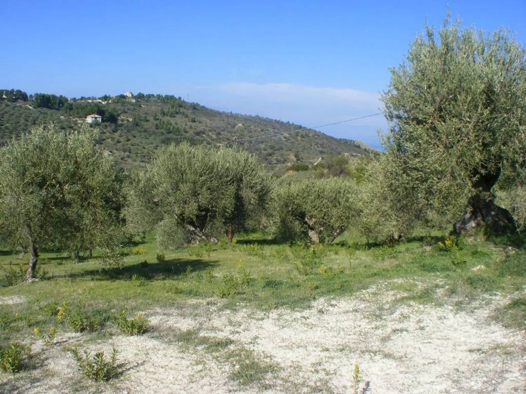 Terreno a Collesano in C/Da Basalaci No Number - Foto 4