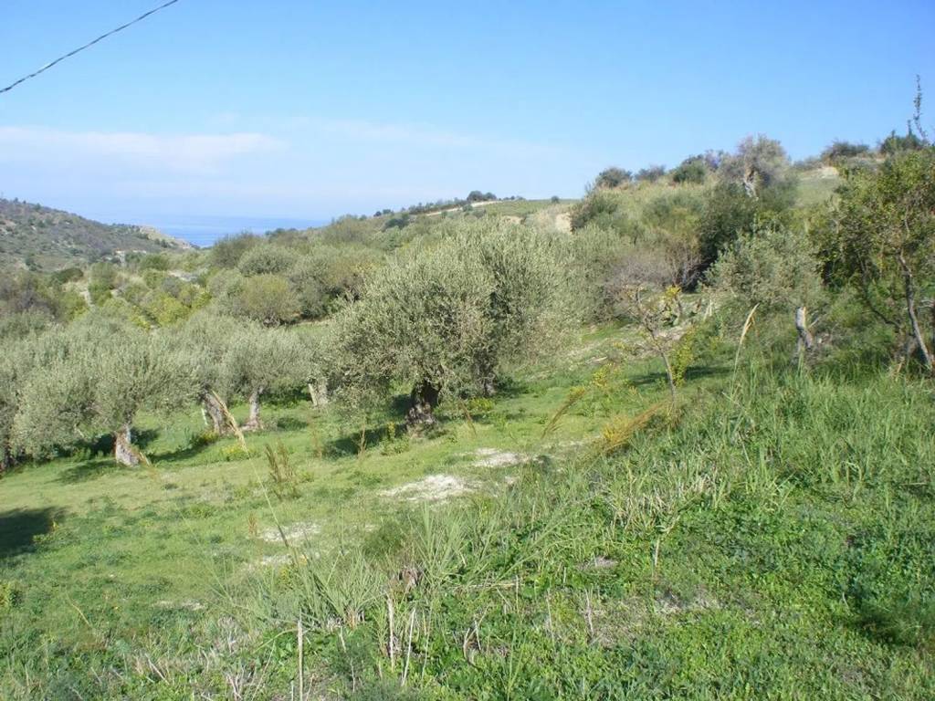 Terreno a Collesano in C/Da Basalaci No Number - Foto 5