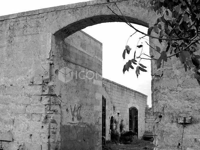 Rustico / casale a Conversano in Strada Provinciale delle Grotte Orientali - Foto 3