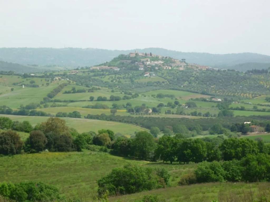 Terreno a Magliano in toscana in Strada Di Cupi No Number - Foto 4