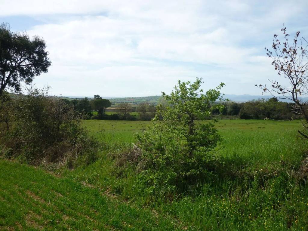 Terreno a Magliano in toscana in Strada Provinciale Poggio Alla Mozza - Foto 4
