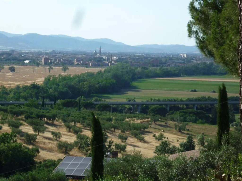 Rustico / casale a Grosseto in Strada Provinciale Poggio Alla Mozza - Foto 3